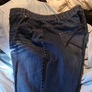 Lane Bryant Tighter Tummy  Jeans